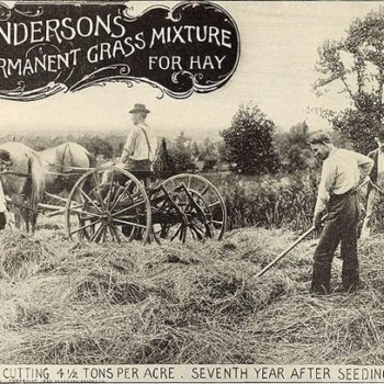 Is denim an American Story-American farmers' manual 1903